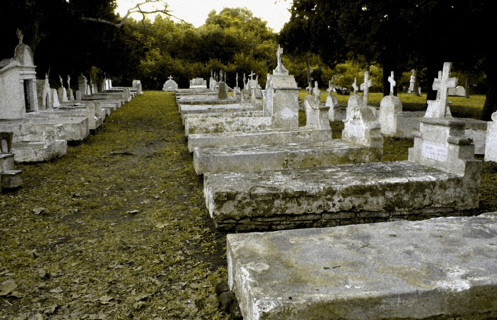 Purple Passion Press Call for Submissions headstones cemetery